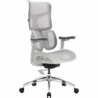 Офісне крісло Sihoo DORO S100 Mesh White (S100-M302)