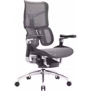 Офисное кресло Sihoo DORO S300 Mesh Dark Grey (S300-M201)