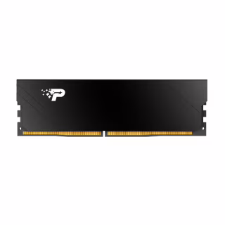 Модуль пам'яті для комп'ютера DDR5 16GB 5200 MHz Signature Line Premium Patriot (PSP516G520081H1)
