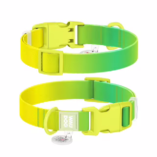 Ошейник для животных WAUDOG Nylon Recycled с QR паспортом, градиент, M салатовый (47015)