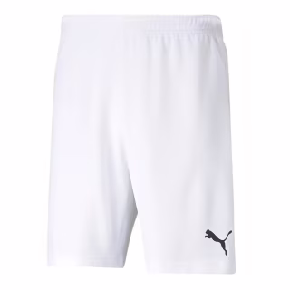 Шорты Puma teamRISE Short 704942-03 білий M (4063699209051)