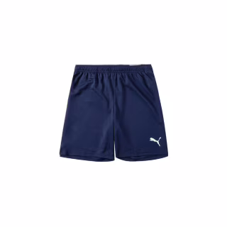 Шорты Puma teamRISE Short 704942-06 темно-синій XL (4063699210262)