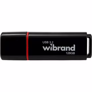USB флеш накопитель Wibrand 128GB Scarab Black USB 3.2 (WI3.2/SC128P11B)