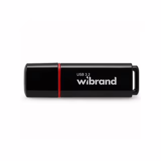 USB флеш накопичувач Wibrand 16GB Scarab Black USB 3.2 (WI3.2/SC16P11B)