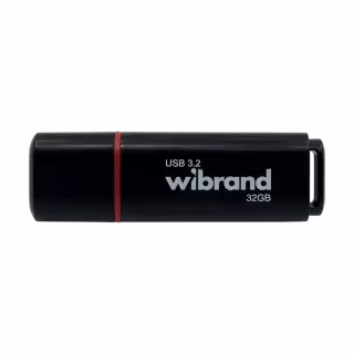 USB флеш накопичувач Wibrand 32GB Scarab Black USB 3.2 (WI3.2/SC32P11B)