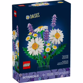 Конструктор LEGO Botanicals Ромашки (11508)