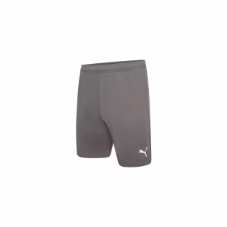 Шорты Puma teamRISE Short 704942-13 сірий M (4063699212051)