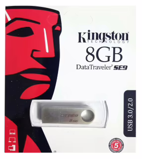 USB флеш-накопичувач Kingston SE9 8Gb (DTSE9H) (Гарантія 3 роки)