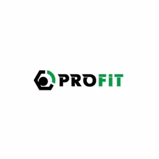 Повітряний фільтр для автомобіля Profit 1512-4289