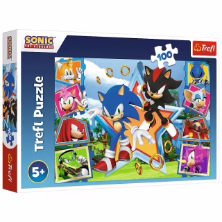 Пазл Trefl Sonic Зустрічайте Соніка 100 елементів (5900511164657)