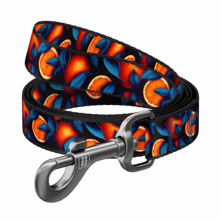 Повідець для собак WAUDOG Nylon "Апельсини" S, Ш 15 мм, Д 200 см (760-4054)
