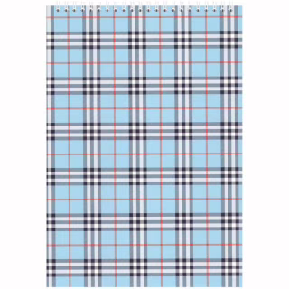 Блокнот Buromax spiral top, А5, 48sheets, square, blue (BM.2470-02)