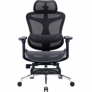 Офісне крісло Sihoo з підставкою для ніг DORO C300L Mesh Black with footrest (DORO-C300L-A3-101-JT)