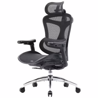 Офісне крісло Sihoo DORO C300L Mesh Black (DORO-C300L-A3-101)
