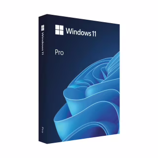 Операційна система Microsoft Windows 11 Pro англ, FPP на USB носії (HAV-00164)