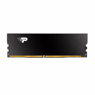 Модуль памяти для компьютера DDR5 16GB 5200 MHz Signature Line Premium Patriot (PSP516G520081H1)