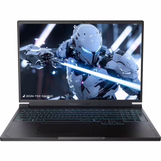 Ноутбук Thunderobot RS16 (RS16-i9139HX57C1Q240ARB)