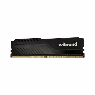 Модуль памяти для компьютера DDR5 32GB 5600 MHz Heatsink Black Wibrand (WI5600DDR5D/32GB)