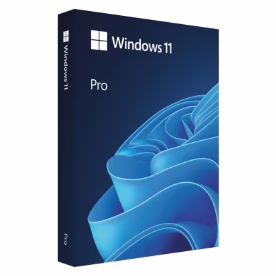 Операційна система Microsoft Windows 11 Pro англ, FPP на USB носії (HAV-00164)