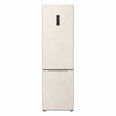Холодильник LG GC-B509FEPW