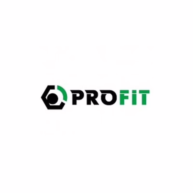 Повітряний фільтр для автомобіля Profit 1512-4289