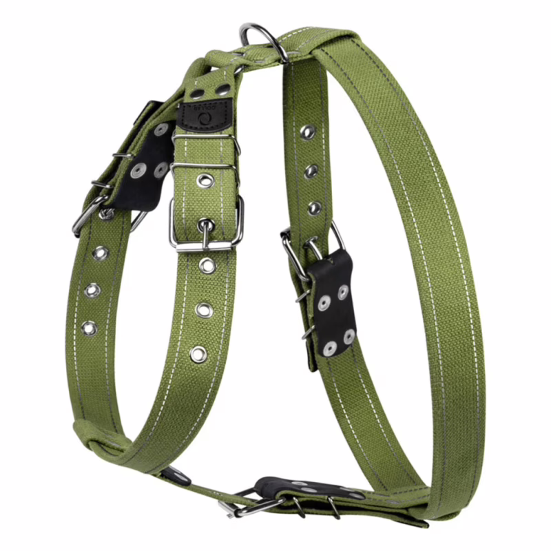 Шлей для собак Collar для больших собак N3 72-94 см зеленая (0647)