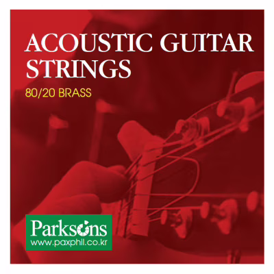 Струны для гитары Parksons Acoustic L (12-52) (S1252)
