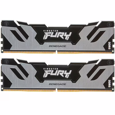 Модуль пам'яті для комп'ютера DDR5 96GB (2x48GB) 6000 MHz Renegade Silver XMP Kingston Fury (ex.HyperX) (KF560C32RSK2-96)