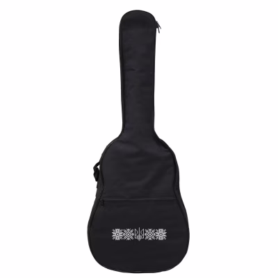 Чехол для гитары Fzone Classic Guitar Bag (FGB-130C Black)
