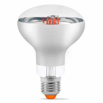 Лампочка Videx Filament R80FF 09W E27 1200K (VL-R80FF-09271)