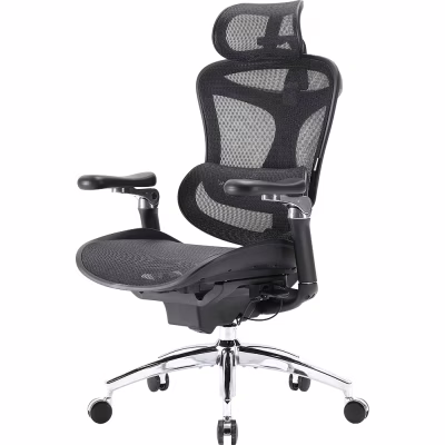 Офісне крісло Sihoo DORO C300 Pro Mesh Black (DORO-C300-PRO-M101)