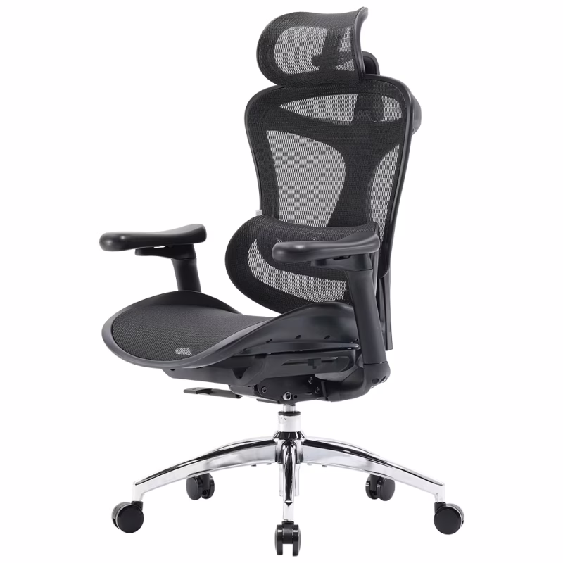 Офісне крісло Sihoo DORO C300L Mesh Black (DORO-C300L-A3-101)