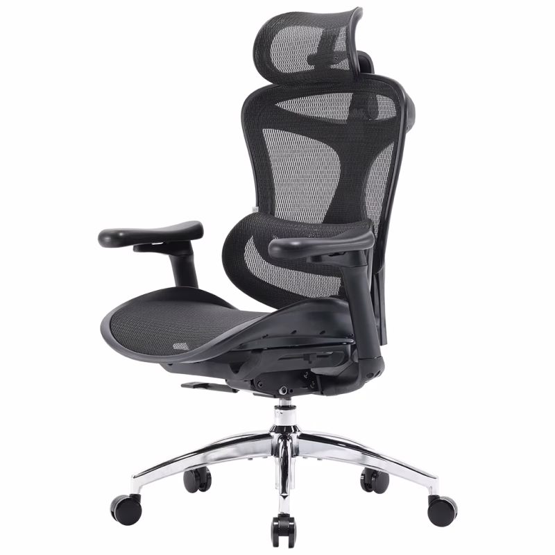 Офисное кресло Sihoo DORO C300L Mesh Black (DORO-C300L-A3-101)