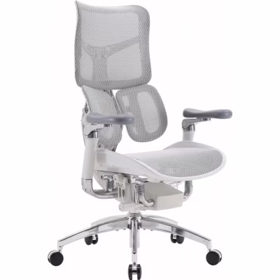 Офісне крісло Sihoo DORO S300 Mesh Light Grey (S300-M202)