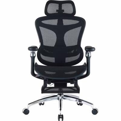 Офісне крісло Sihoo Крісло офісне з підставкою для ніг Sihoo DORO C300 Pro Mesh Black with (DORO-C300-PRO-M101-JT)