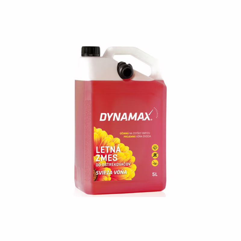 Омивач автомобільний DYNAMAX FOREST FRUIT 5 л