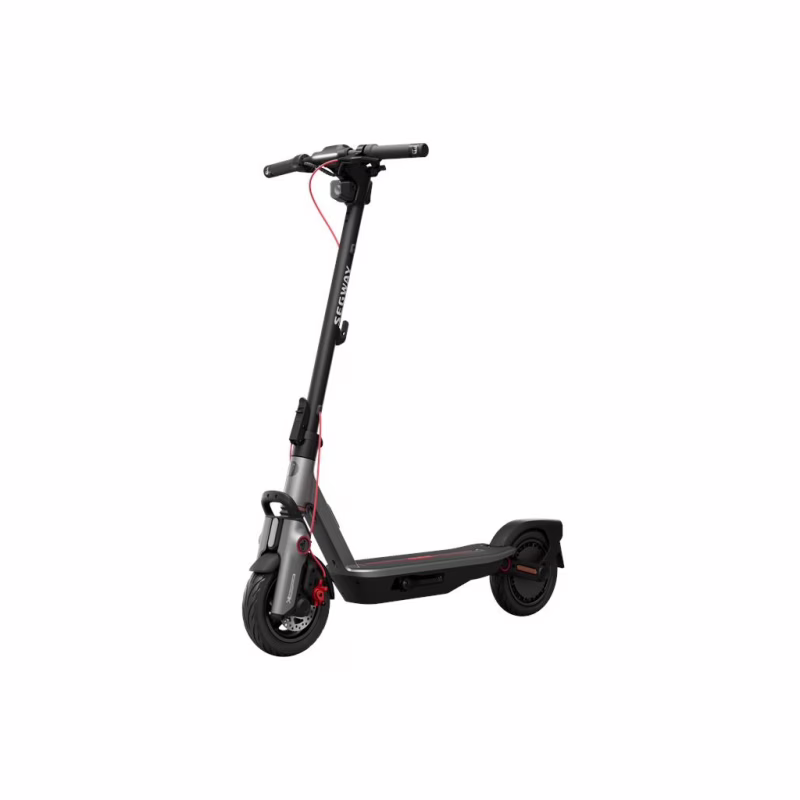 Электросамокат Segway F3 E серый (AA.05.17.01.0005)