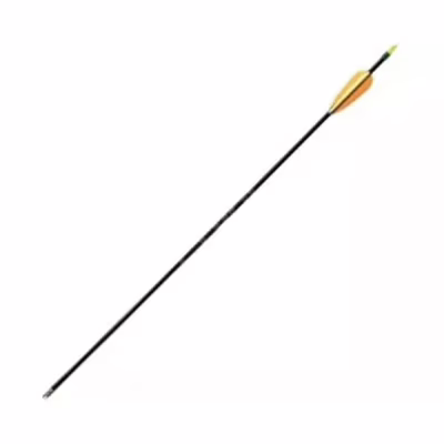 Стріла Poe Lang Fiberglass 30" Black (D-065)