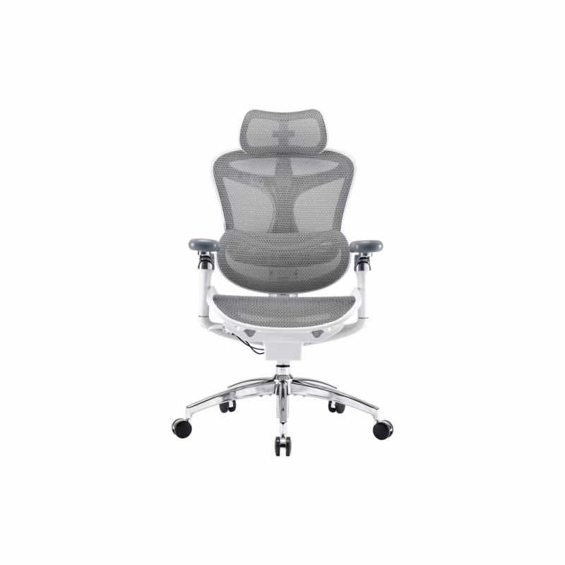 Офісне крісло Sihoo DORO C300 Pro Mesh White (DORO-C300-PRO-M102)
