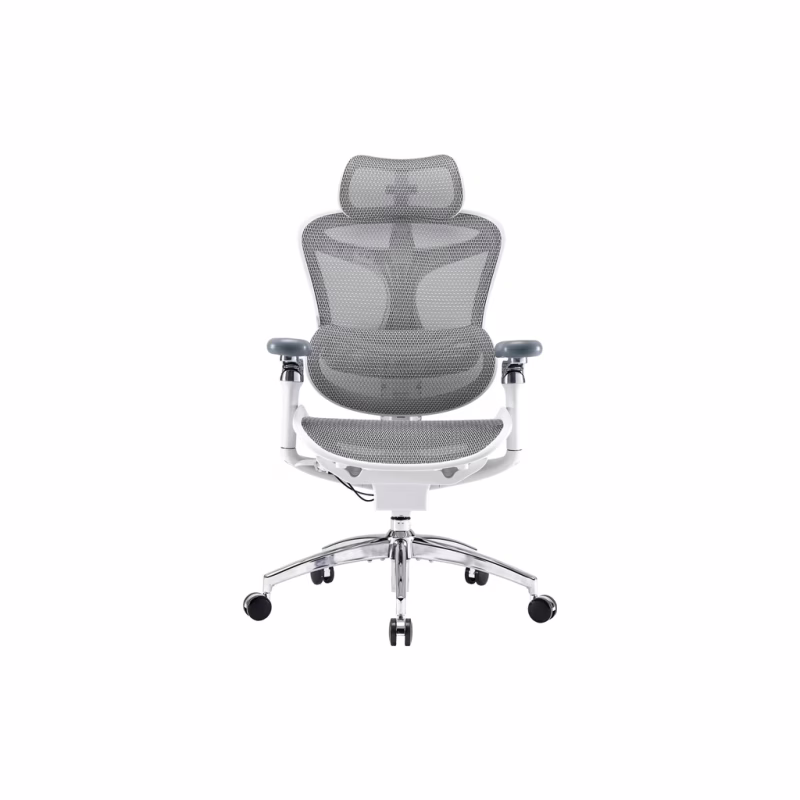 Офісне крісло Sihoo DORO C300 Pro Mesh White (DORO-C300-PRO-M102)