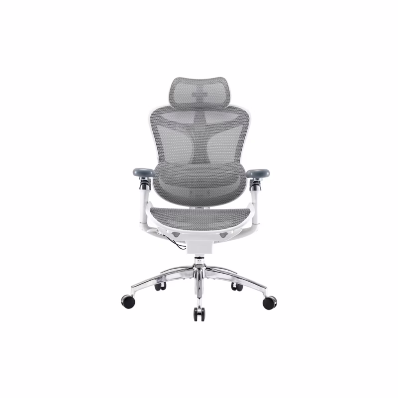 Офисное кресло Sihoo DORO C300 Pro Mesh White (DORO-C300-PRO-M102)