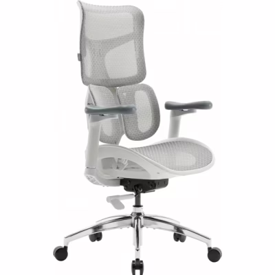 Офісне крісло Sihoo DORO S100 Mesh White (S100-M302)