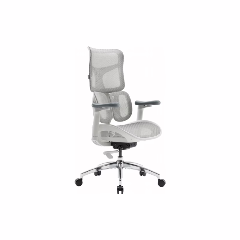 Офісне крісло Sihoo DORO S100 Mesh White (S100-M302)