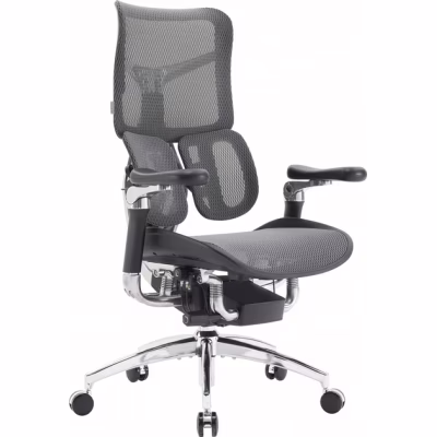 Офисное кресло Sihoo DORO S300 Mesh Dark Grey (S300-M201)