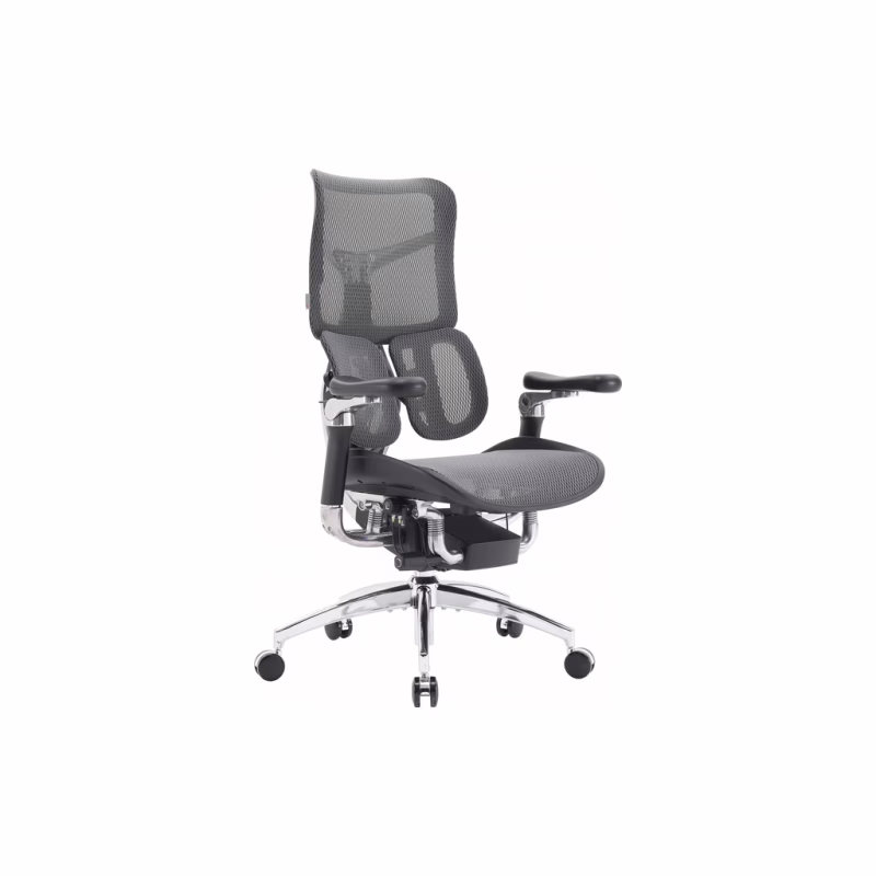 Офисное кресло Sihoo DORO S300 Mesh Dark Grey (S300-M201)