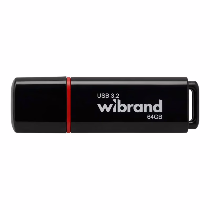 USB флеш накопичувач Wibrand 64GB Scarab Black USB 3.2 (WI3.2/SC64P11B)