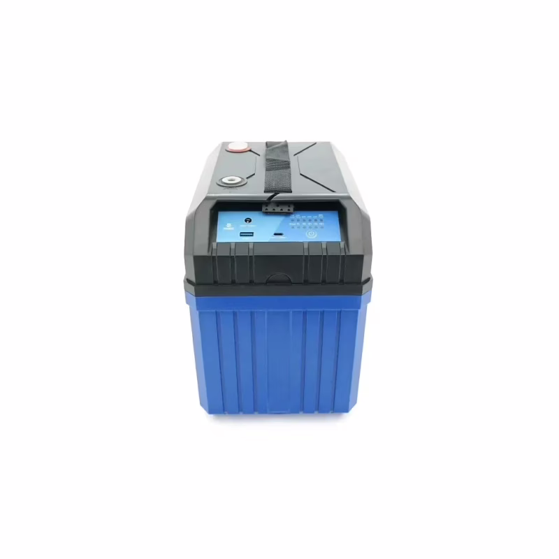 Батарея LiFePo4 Eco-Worthy 12,8V 100Ah, (50/100A) Bluetooth (DC HOUSE-12100B)