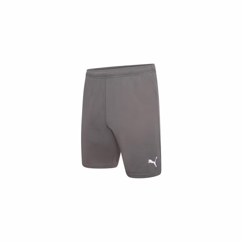 Шорти Puma teamRISE Short 704942-13 сірий M (4063699212051)